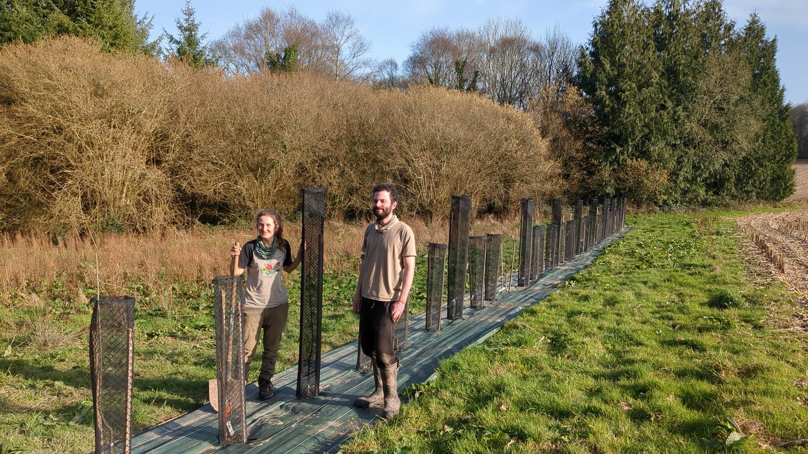 Arbres fruitiers en pleine terre — La Ferme aux Arbres
